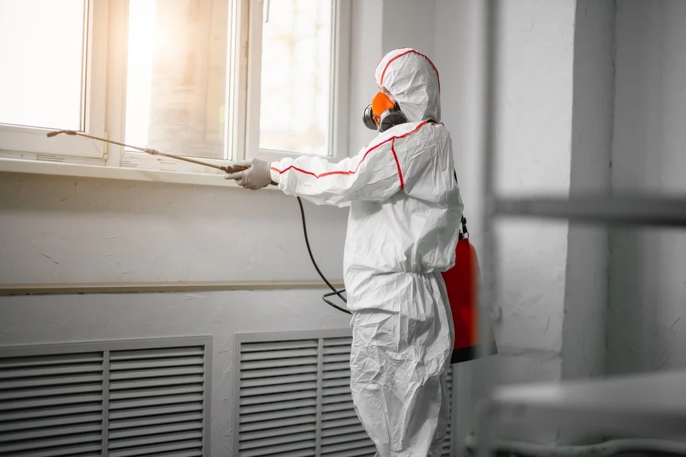 Professional mold remediation services in West Point, KY